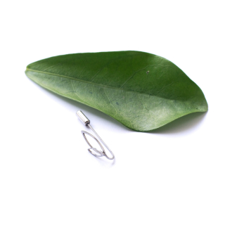 INTIMITY Brož LEAF